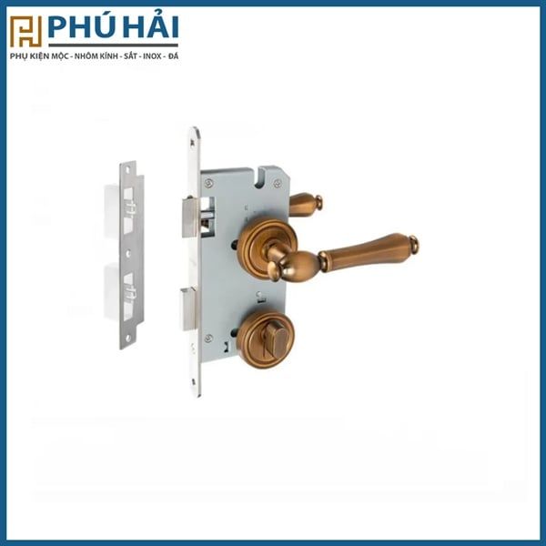 Khóa cửa phân thể VICKINI 34617.101 CF cafe vàng, ruột chốt