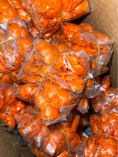 Nắp Chụp Vít Màu Cam (100c/B)