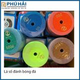 Lá số đánh bóng 1500