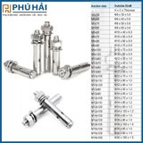 Tắc kê INOX M10 * 80(100c/b)