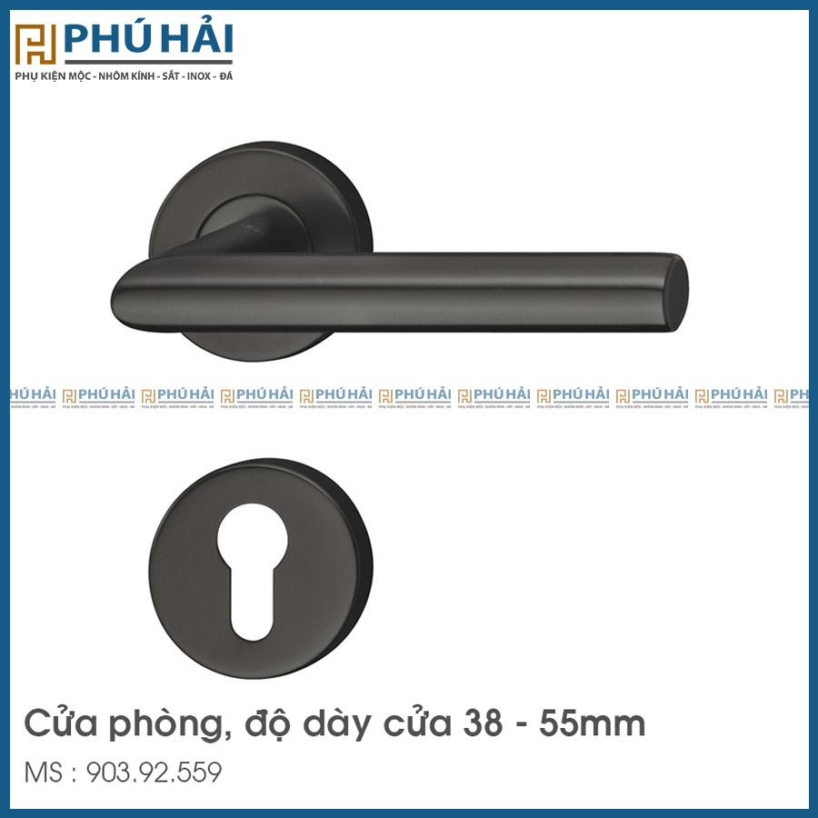 Tay Nắm Gạt Cửa Phòng Hafele 903.92.559