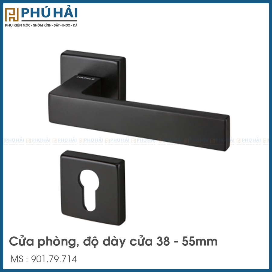 Tay Nắm Gạt Techna Cửa Phòng Hafele 901.79.714