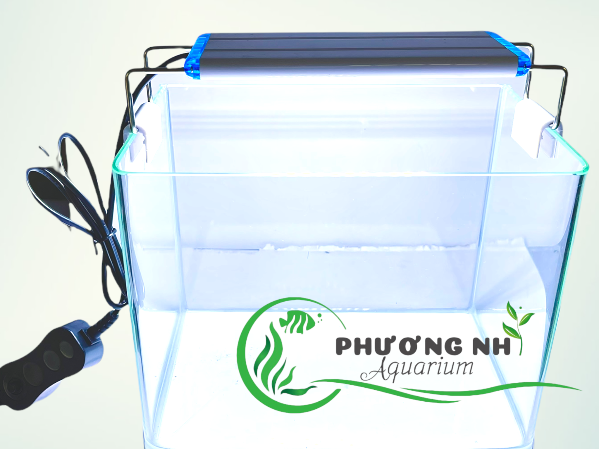 Đèn led Enjoy Royal thuỷ sinh