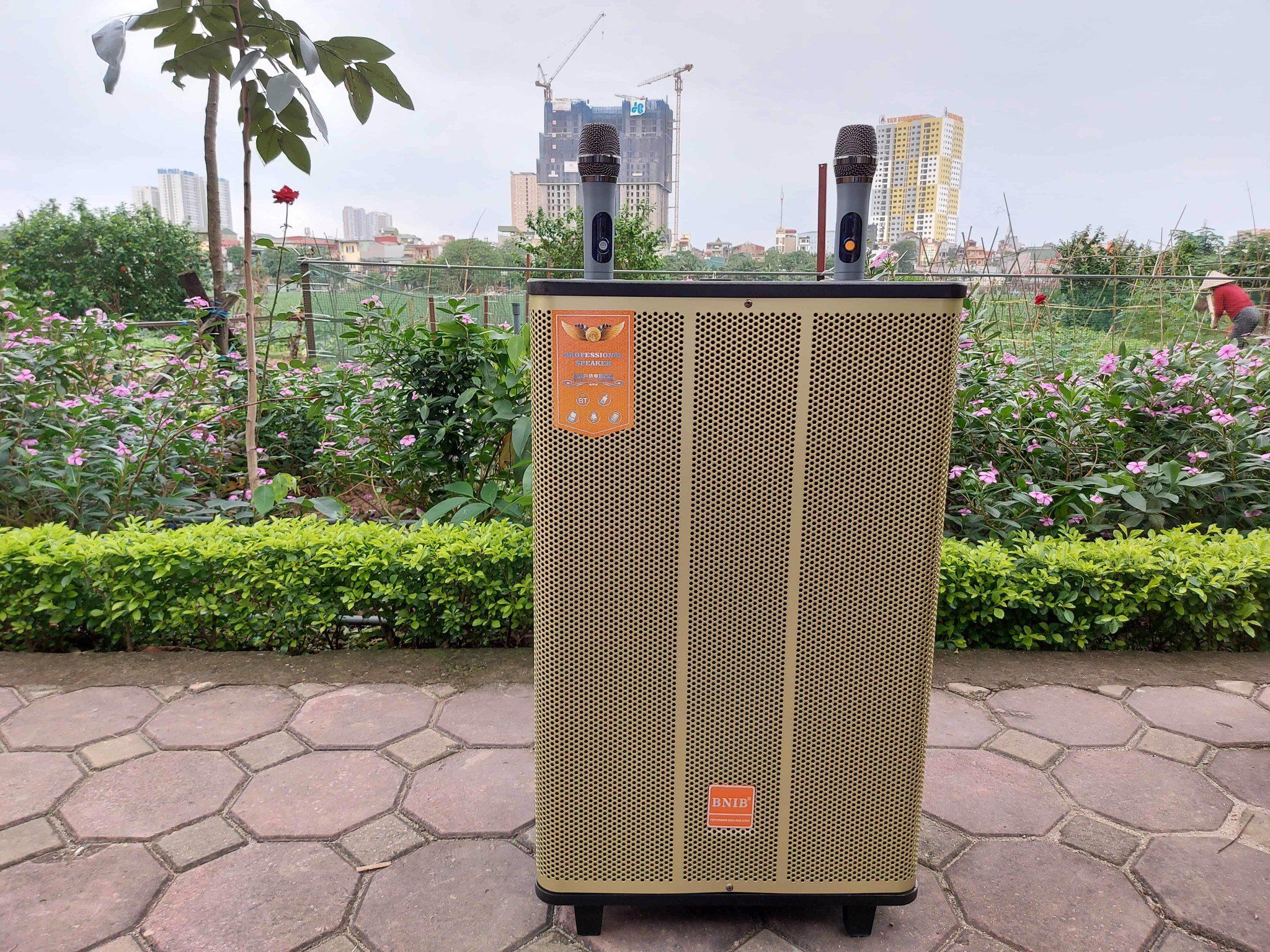 LOA KÉO BNIB 1597A TÍCH HỢP VANG SỐ DSP