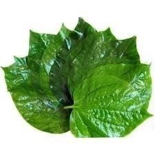 Lá lốt TPAT (Gói 200g)