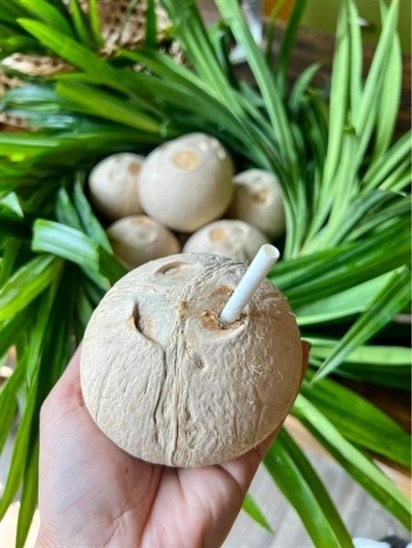 Dừa dứa gọt trọc Bến Tre (400-450g/trái)