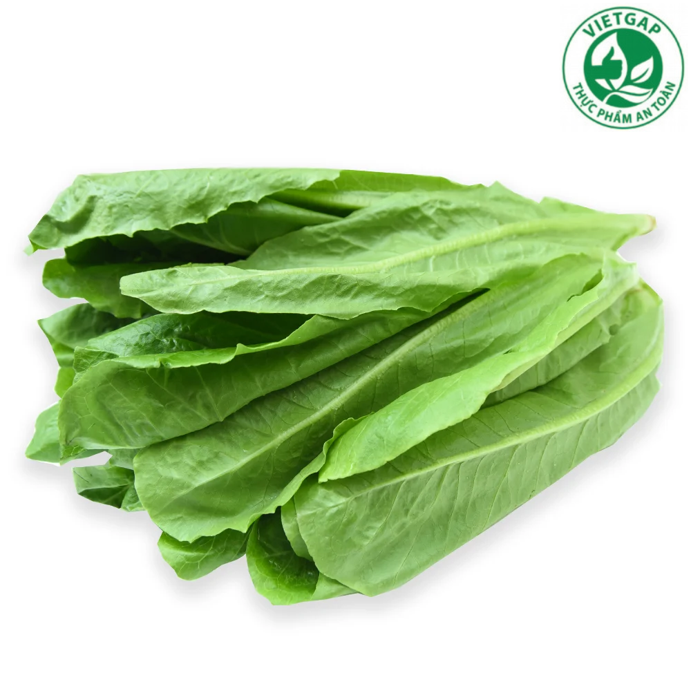  Xà lách Romaine xanh địa canh VietGAP (Gói 200g) 