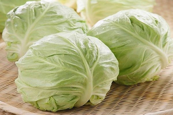 Bắp cải trắng Hữu cơ (300-400g/bắp)