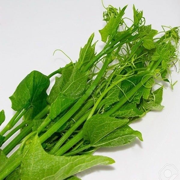 Đọt Su Su HC (Gói 250g)