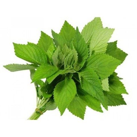 Kinh giới TPAT (Gói 200g)