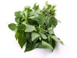Kinh giới TPAT (Gram)