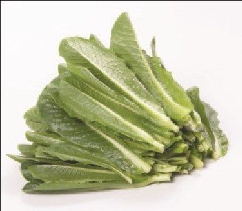 Xà lách romaine Hữu cơ (Gói 200g)