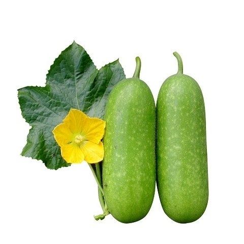 Bí đao Hữu cơ (Kg)
