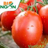  Cà chua trứng VietGAP (450-550g/vỉ) 