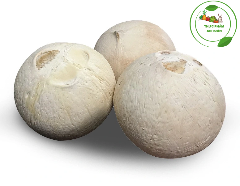 Dừa xiêm trọc Bến Tre size S ( 300-400g/trái)