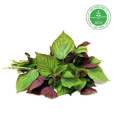 Tía tô Hữu cơ (Gói 100g)