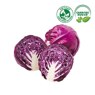 Bắp cải tím (750-850g/bắp)