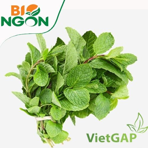 Húng lủi VietGAP (Gói 50g)