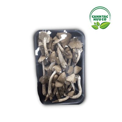 Nấm mối thiên nhiên (Hộp 200g)
