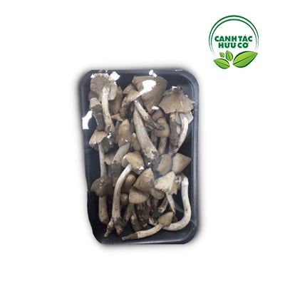 Nấm mối thiên nhiên (Hộp 200g)