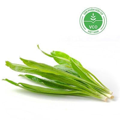  Ngò gai hữu cơ (Gói 50g) 