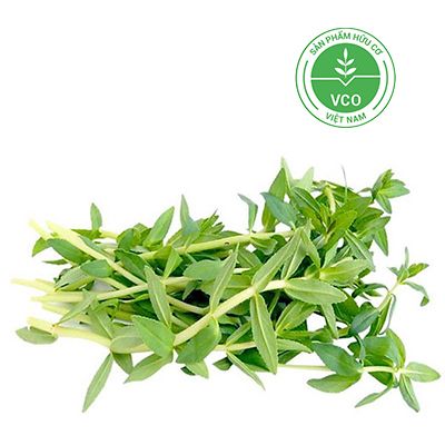  Rau om hữu cơ (Gói 50g) 