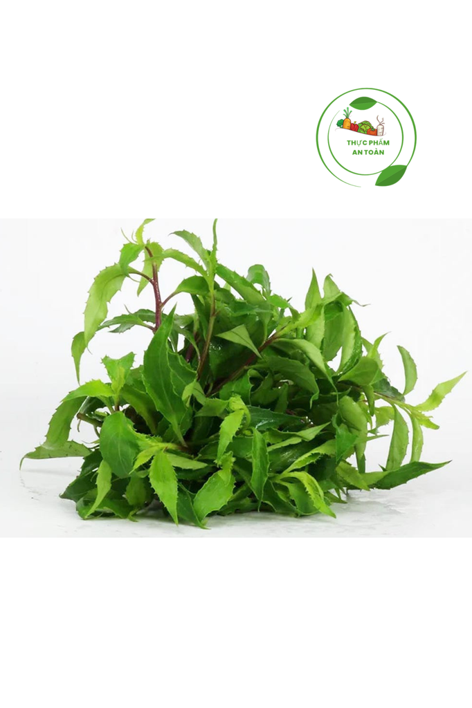 Rau rừng (Rau bầu đất) (Gói 300g)