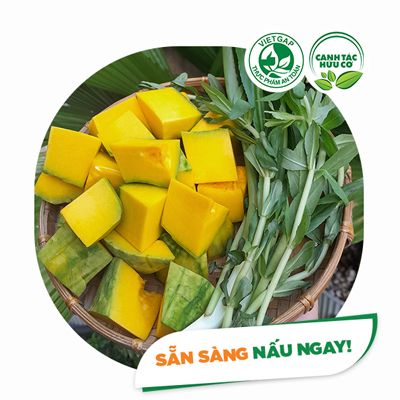 CBSC - Bí đỏ cắt khúc (500g/vỉ)