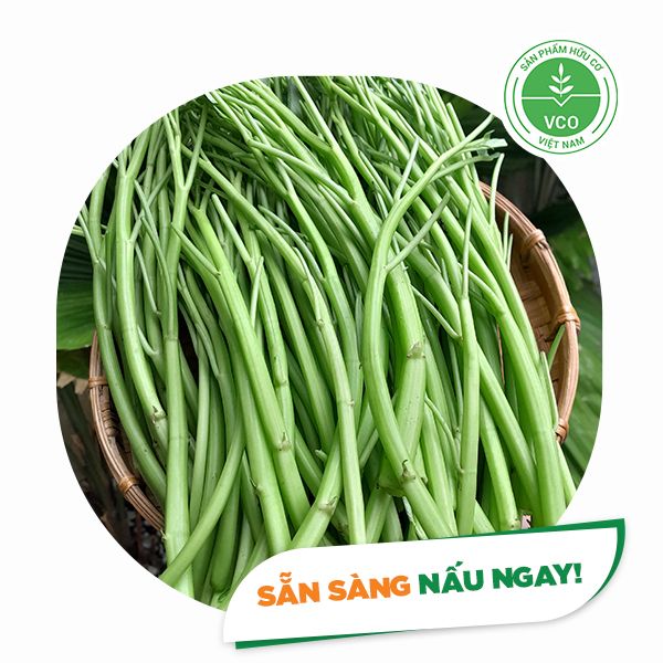  CBSC - Rau muống cọng (300g/gói) 