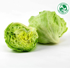 Xà lách Iceberg VietGAP (280-320g/vỉ)