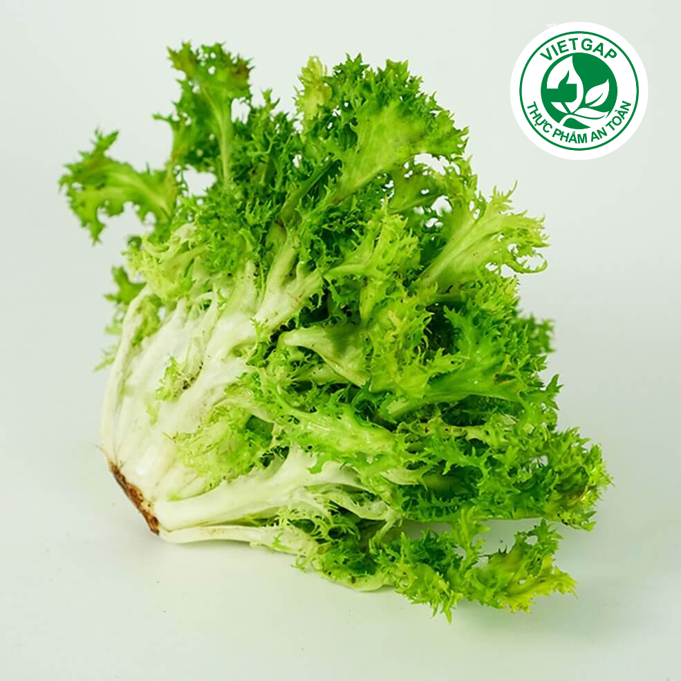 Xà lách Frisee VietGAP (180-220g/gói)