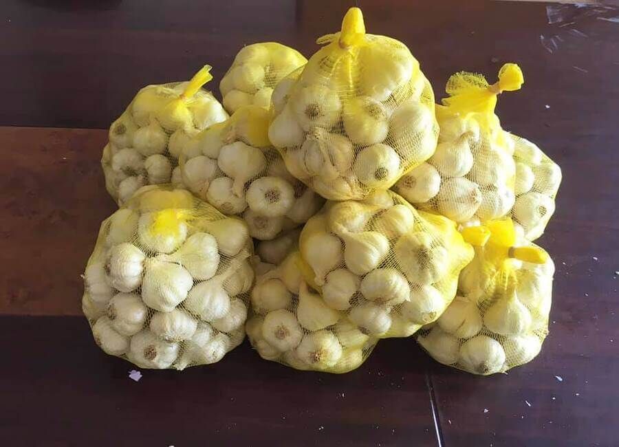 Củ tỏi Phan Rang (500g/túi)