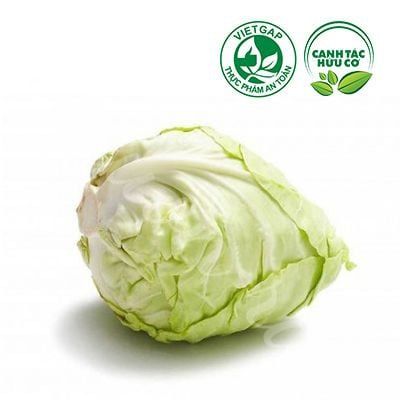 Bắp cải trái tim (650-750g/bắp)
