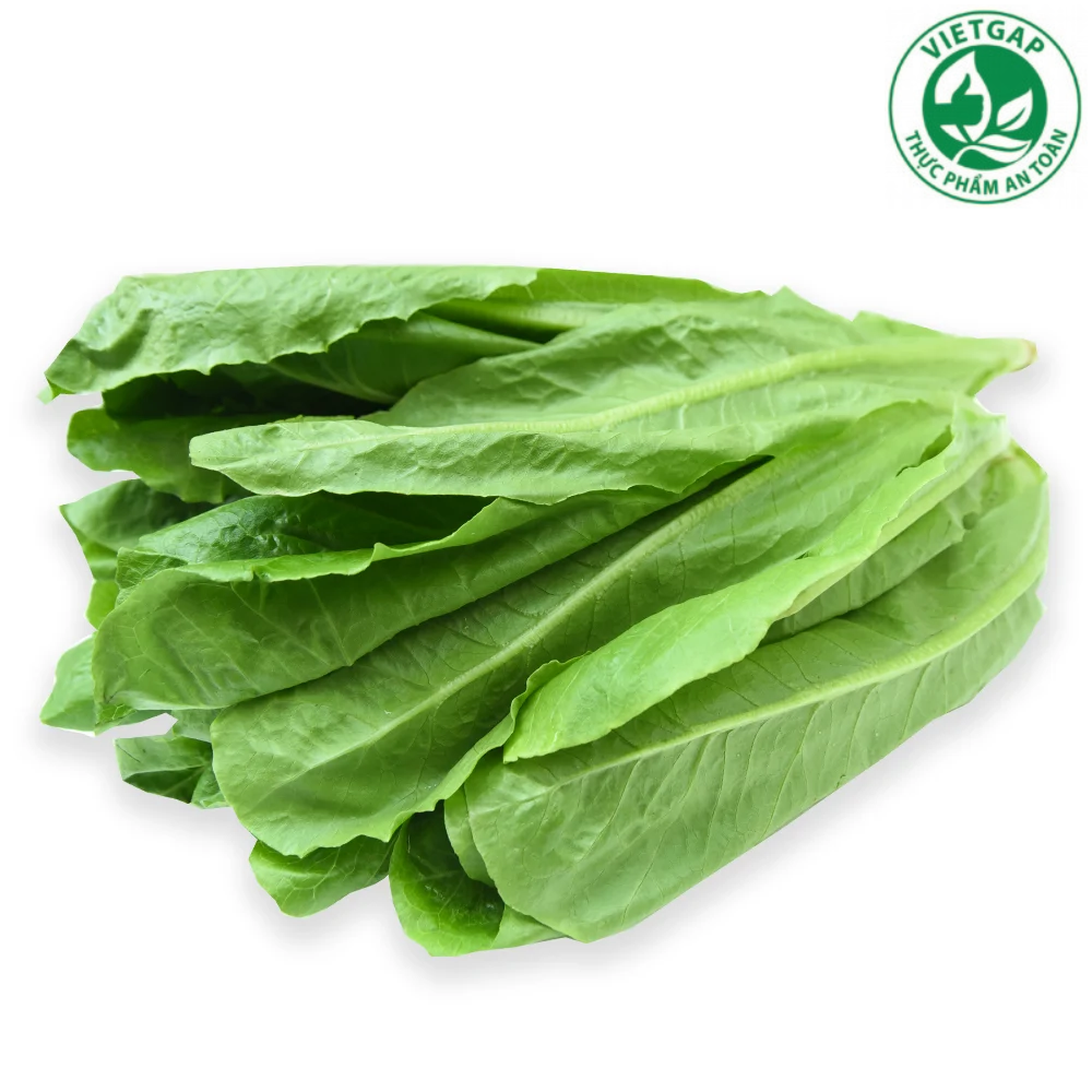 Xà lách Romaine xanh VietGAP (Gói 200g)
