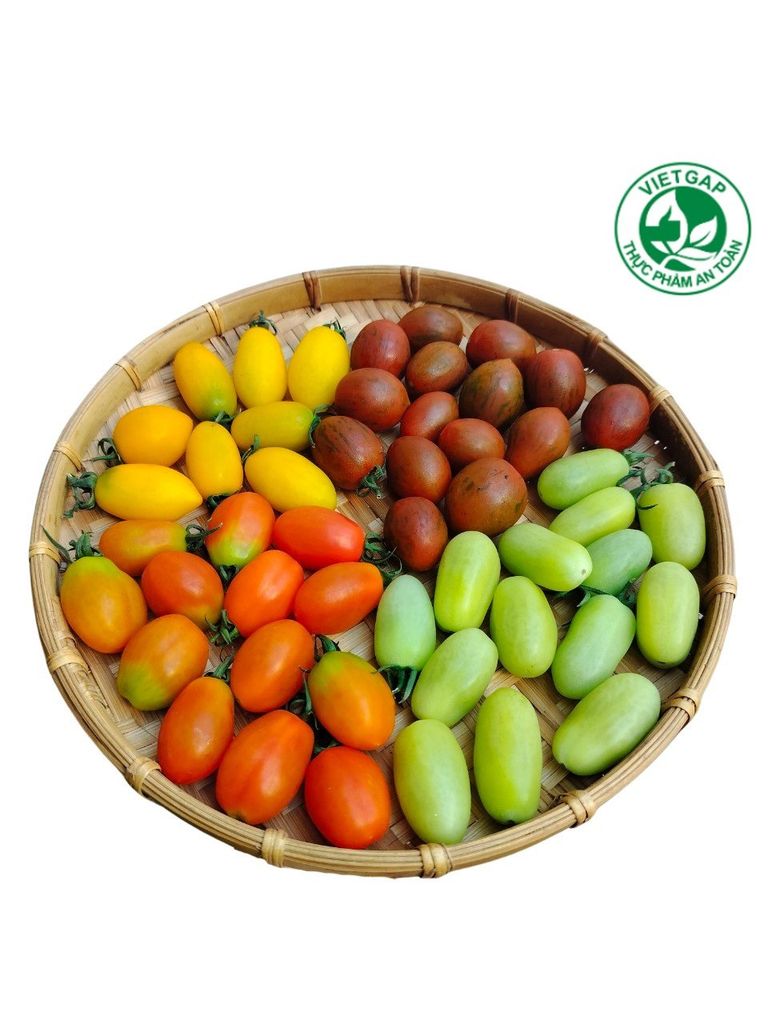  Cà chua trái cây mix 4 màu ( Hộp 500g) 