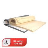  Nệm cao su Felix Support - Độ cứng trợ lực (Cấp độ 2) - 5cm 