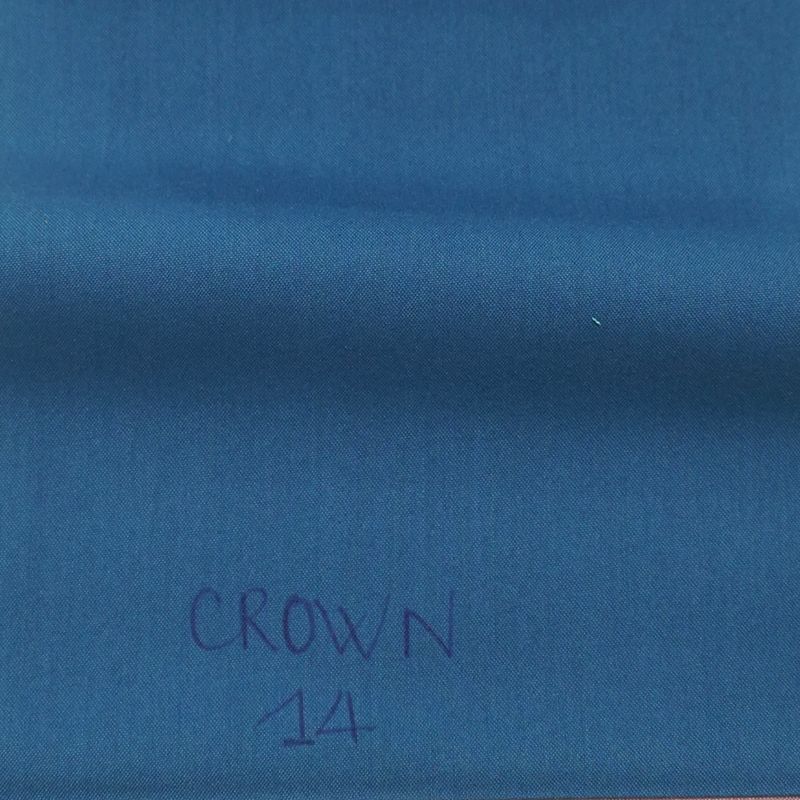  KATE CROWN 14 