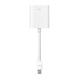  Apple Mini DisplayPort to VGA Adapter 