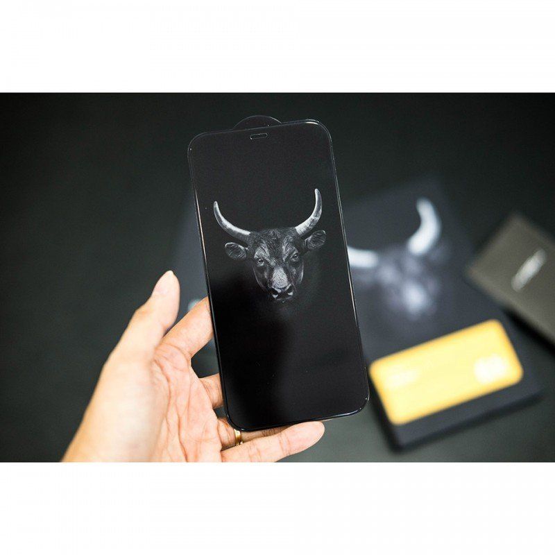 Kính cường lực Mipow KingBull HD Anti-Spy chống nhìn trộm cho iPhone 12 | 12 Pro