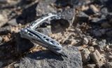  Kìm đa năng Leatherman SKELETOOL 