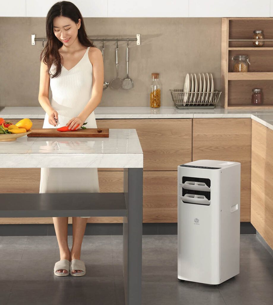 Máy điều hoà di động Xiaomi New Widetech