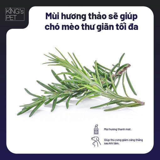 Nước hoa kháng khuẩn hương thảo King's Pet - 100ml