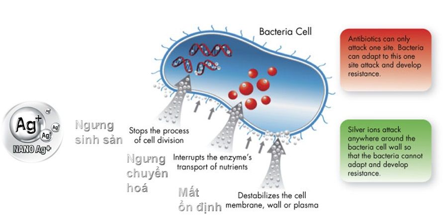 Chai xịt Nano bạc đa năng - Silvergiene Nanotechnology