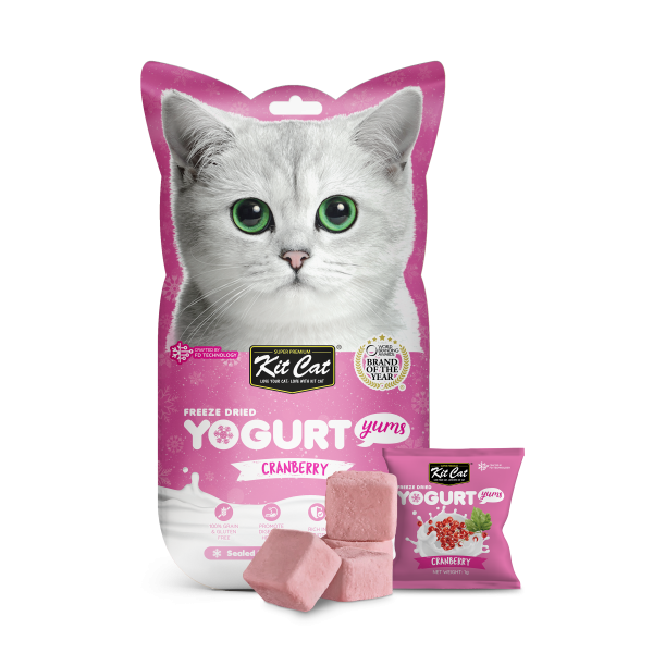 Snack kẹo cho mèo KitCat Yogurt