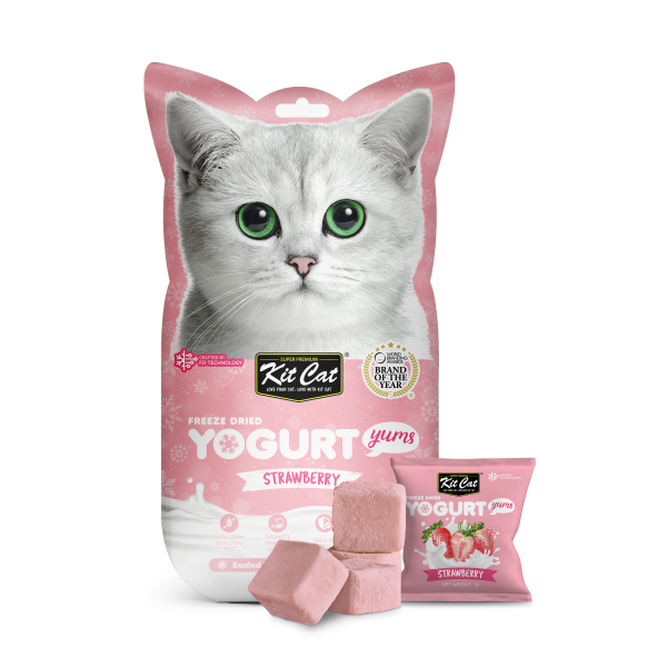 Snack kẹo cho mèo KitCat Yogurt