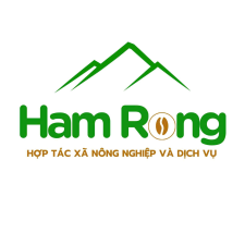 HỢP TÁC XÃ NÔNG NGHIỆP VÀ DỊCH VỤ HÀM RỒNG
