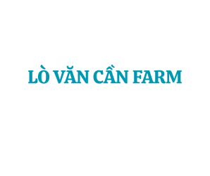LÒ VĂN CẦN FARM