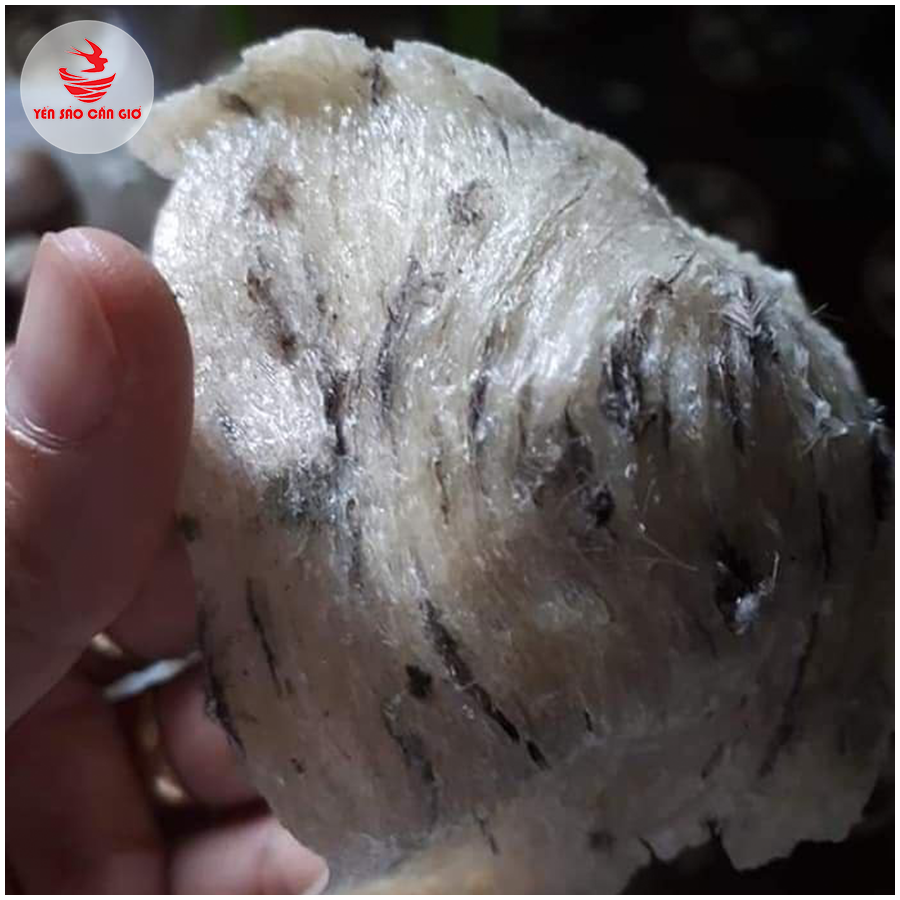 Yến Sào Cần Giờ - Yến Thô Loại 2 - 100 GR