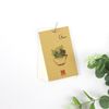 Sổ Flash Card 4156 Green Plant 200 Trang