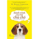 Hành Trình Của Một Chú Chó